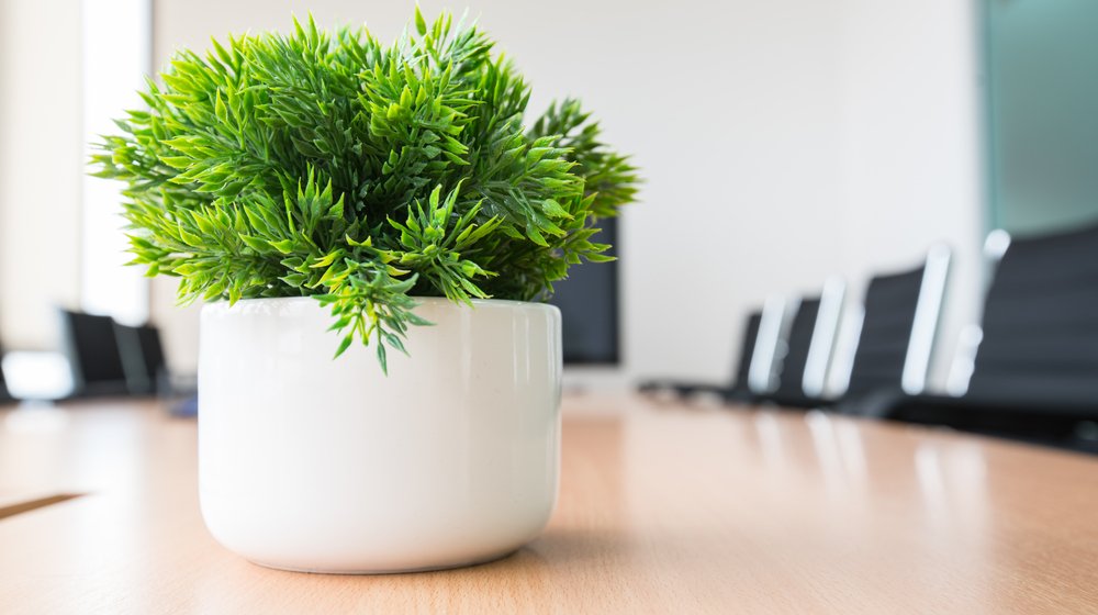 Work on sale table plants